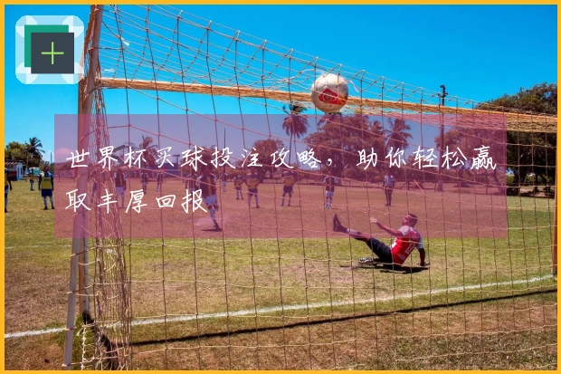 世界杯买球投注攻略，助你轻松赢取丰厚回报