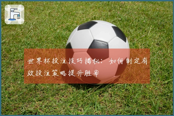 世界杯投注技巧揭秘：如何制定有效投注策略提升胜率