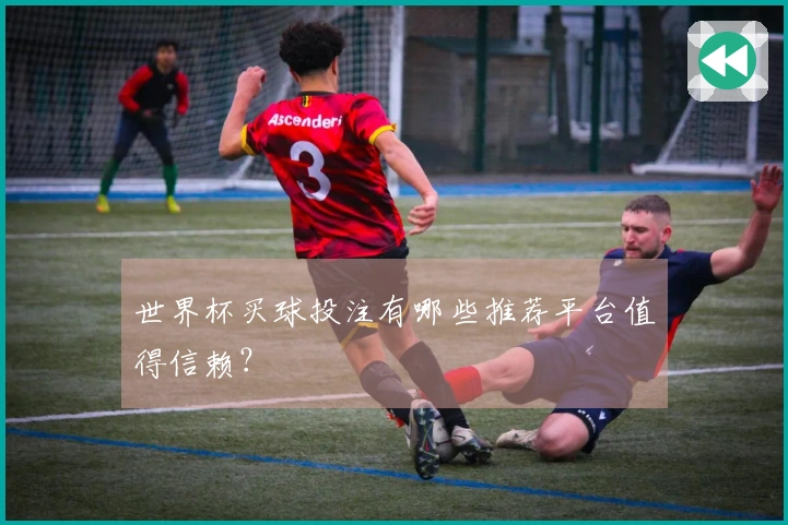 世界杯买球投注有哪些推荐平台值得信赖？