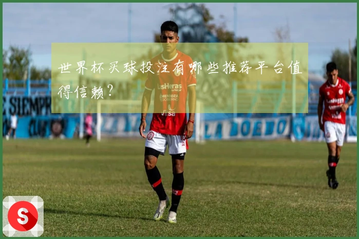 世界杯买球投注有哪些推荐平台值得信赖？