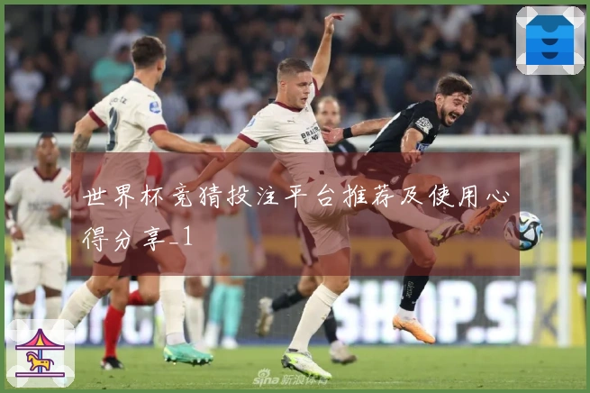 世界杯竞猜投注平台推荐及使用心得分享_1