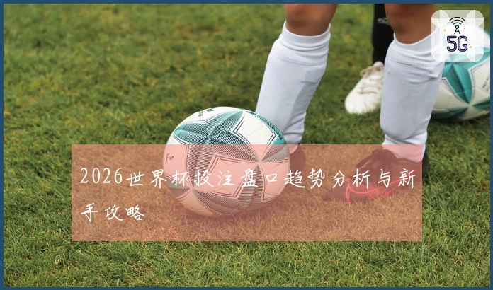 2026世界杯投注盘口趋势分析与新手攻略