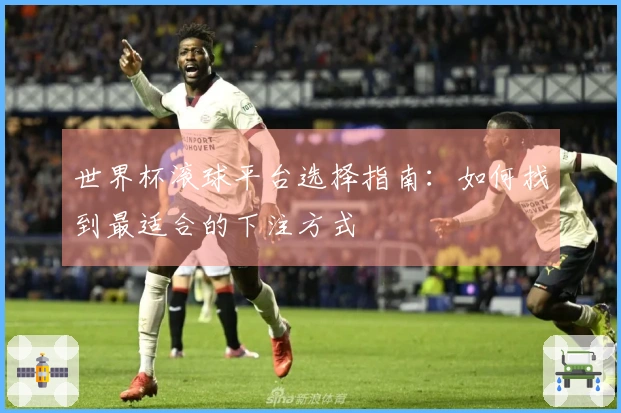 世界杯滚球平台选择指南：如何找到最适合的下注方式