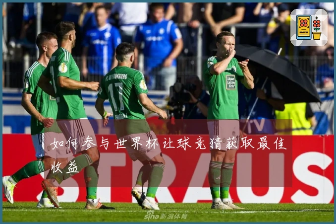 如何参与世界杯让球竞猜获取最佳收益