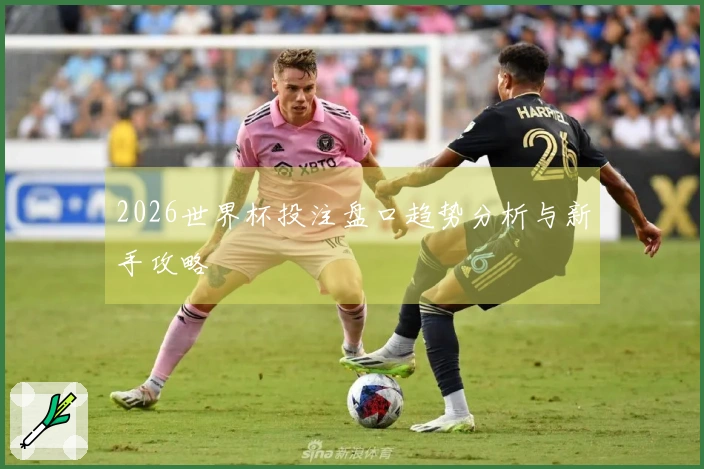 2026世界杯投注盘口趋势分析与新手攻略